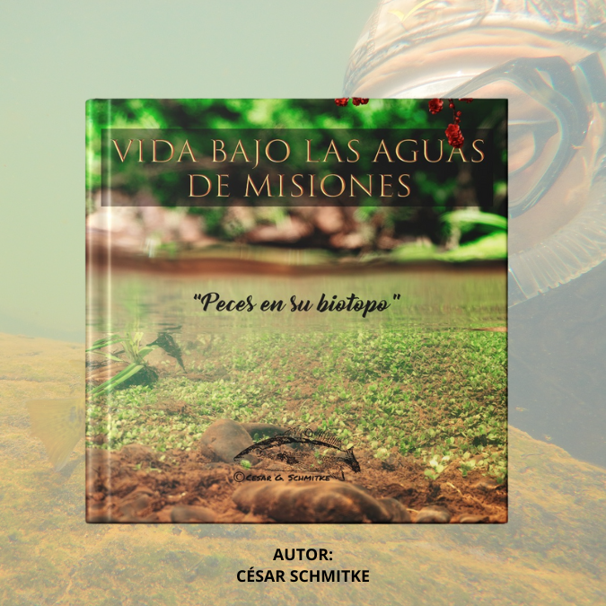 Vida bajo las aguas de Misiones